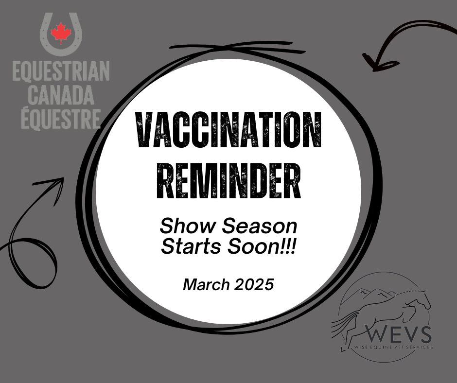 Vaccination Information