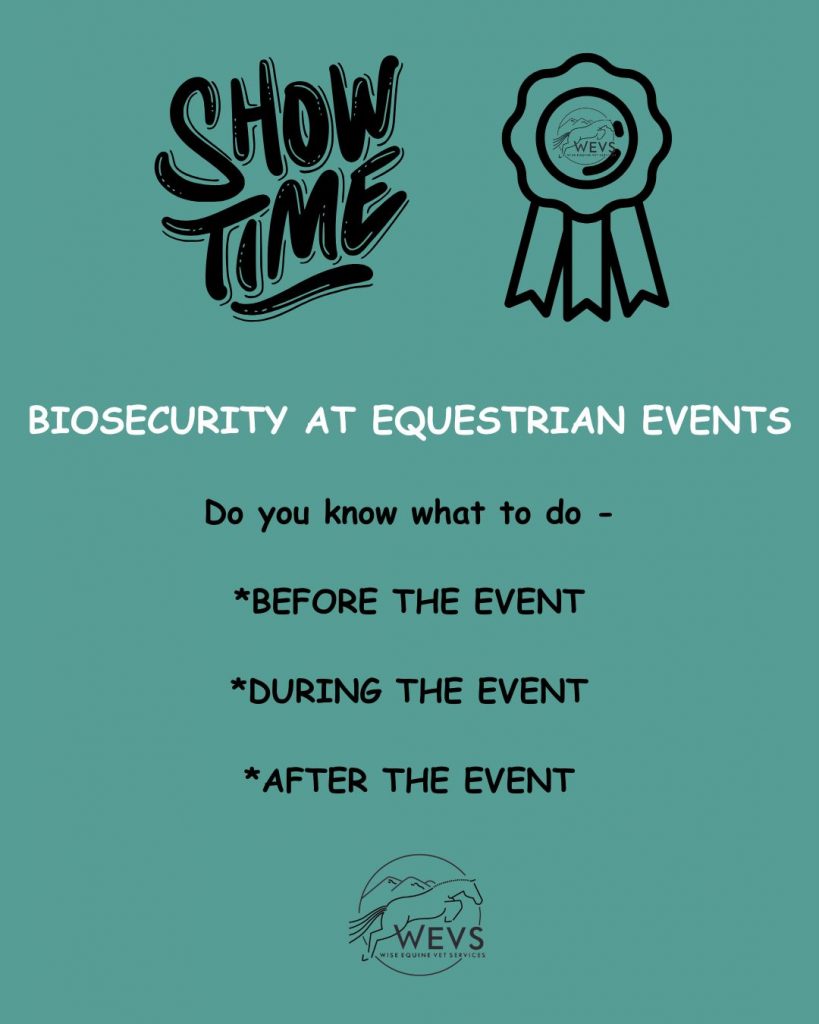 Biosecurity at Equestrian Events