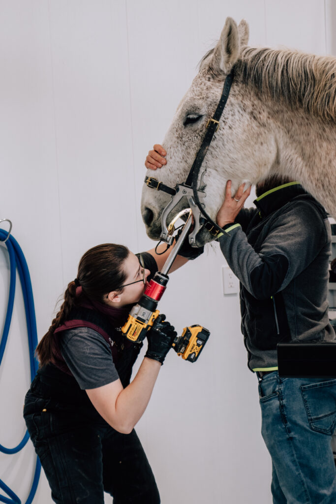 dental MORE THAN VETERINARY CARE our story icons our story about us WEVS Wise Equine Vet | Wisdom in Practice - Langley, BC Equine Vet