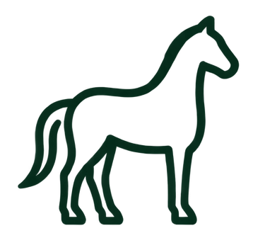 our story icons our story about us WEVS Wise Equine Vet | Wisdom in Practice - Langley, BC Equine Vet